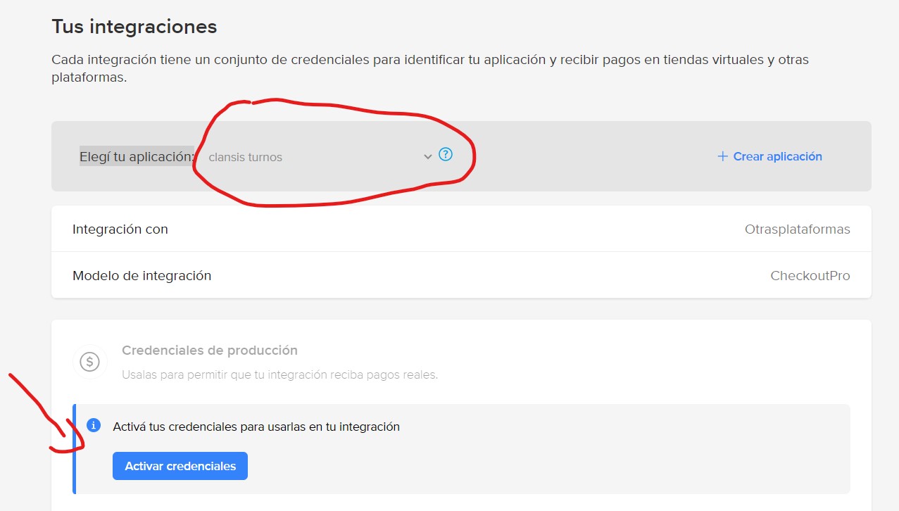 Paso 6 - Pegar Access Token